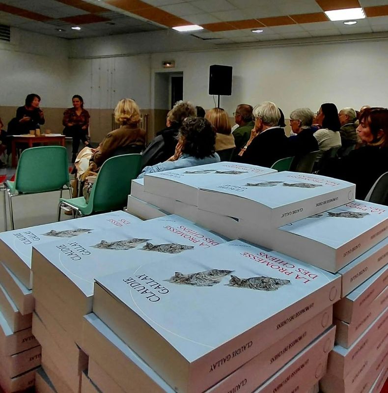 Photo 2 de Association du quartier des arènes